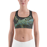 Al Qalea (set in the UAE): Sports bra